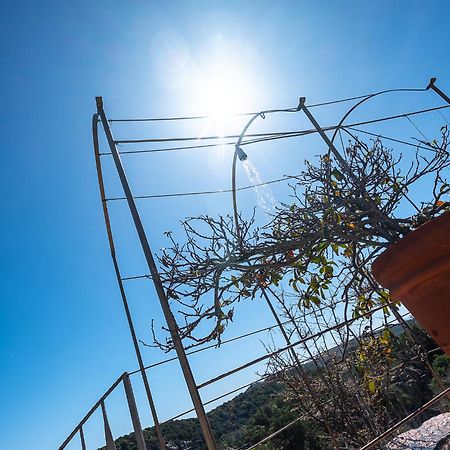 Sardinia Family Villas - Villa Nina With Private Pool Abbiadori Bagian luar foto