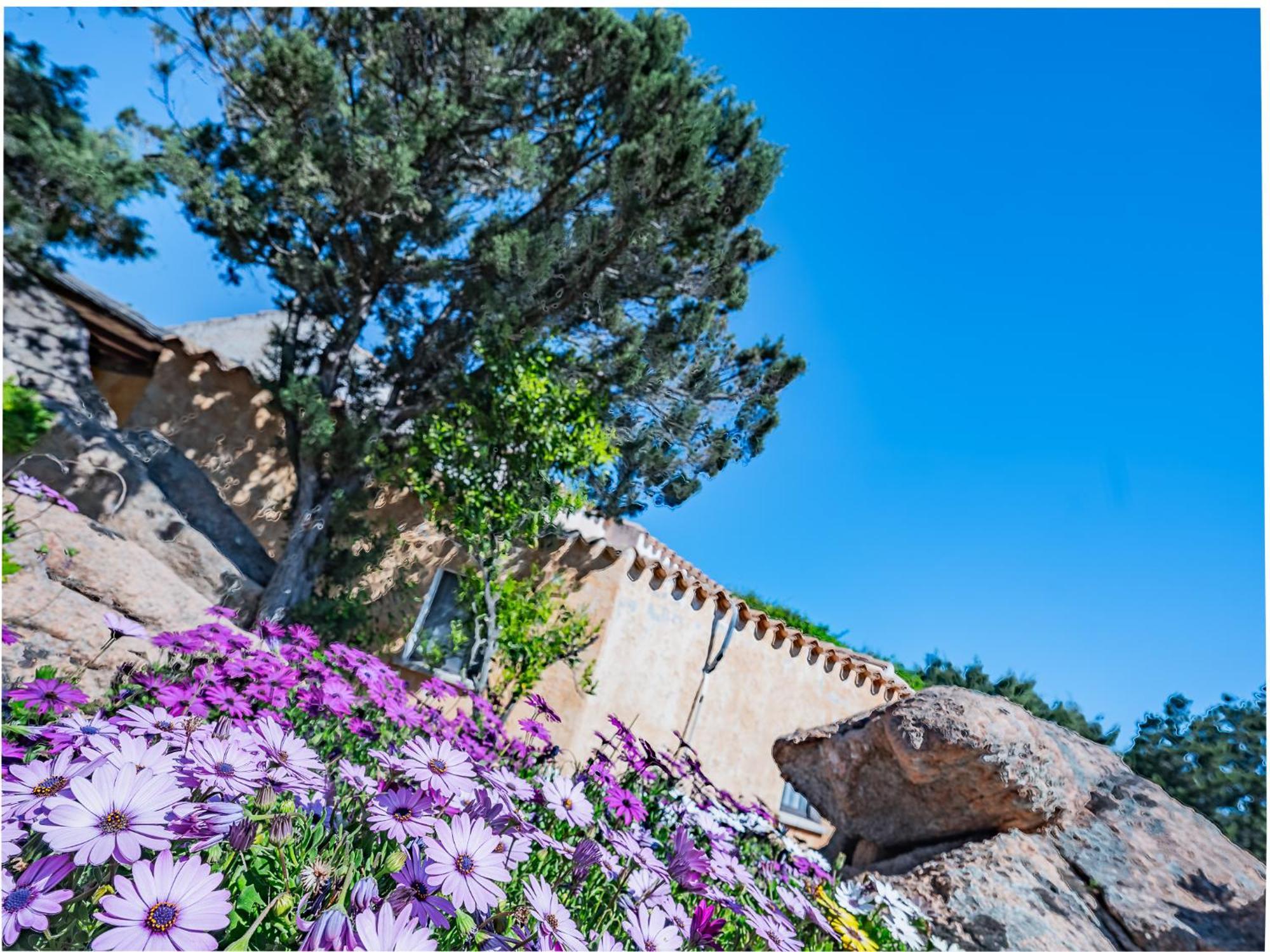 Sardinia Family Villas - Villa Nina With Private Pool Abbiadori Bagian luar foto